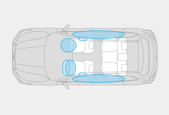 Supplemental Restraint System (SRS)* Airbags